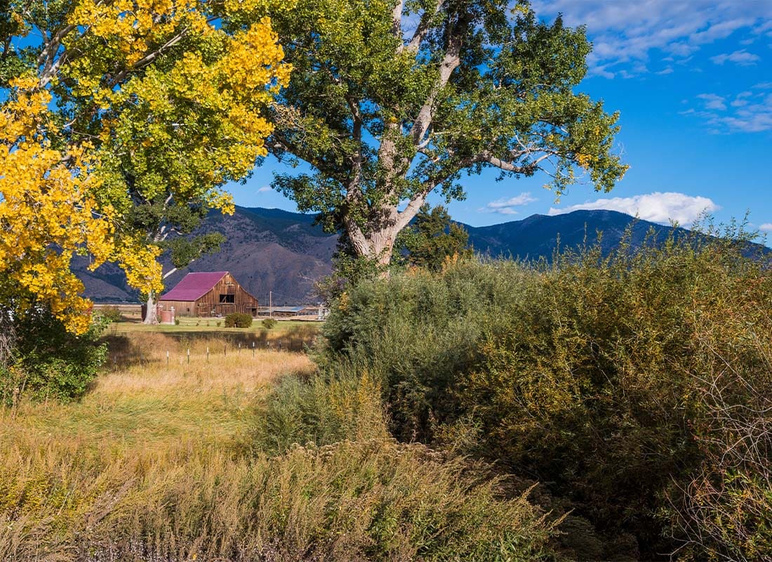 Gardnerville, NV - Barn in Distant Field Behind Tree in Fall